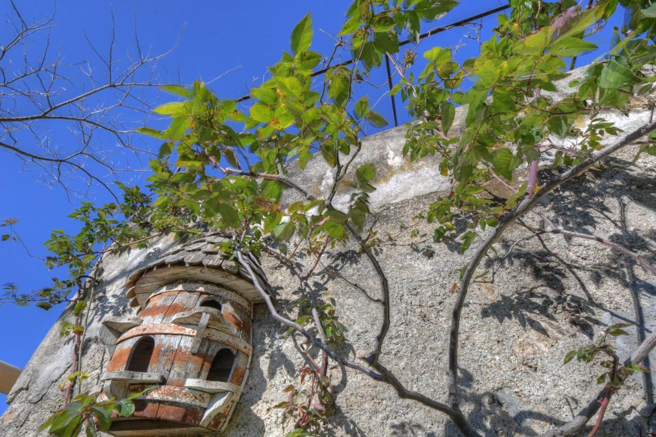 Antica Casa Del Canto Iara - Private Parking Calice Ligure エクステリア 写真